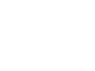 logo softcryptum